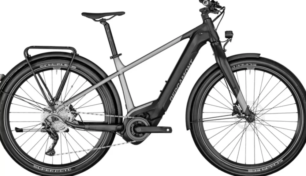 Bergamont Elcykler | E-Revox Rigid EQ 2022 chrome silver (matt)