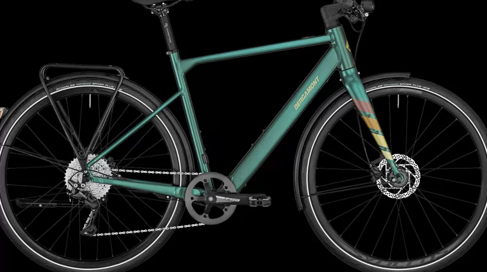 Bergamont Elcykler | E-Sweep Tour 2024 - Grøn Matt dark green