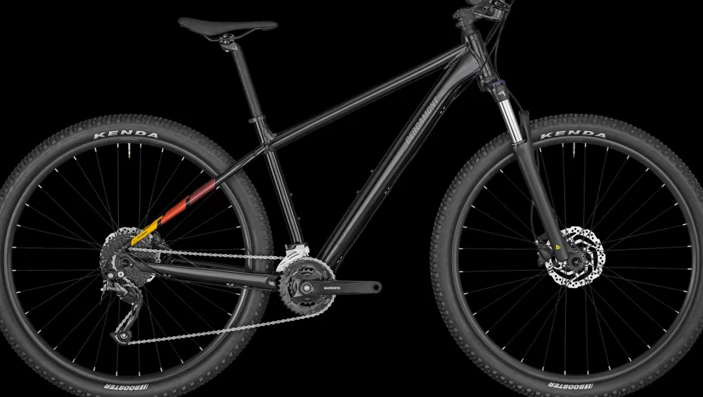 Bergamont Mountainbikes | Revox 4 2024 - Sort shiny flaky black
