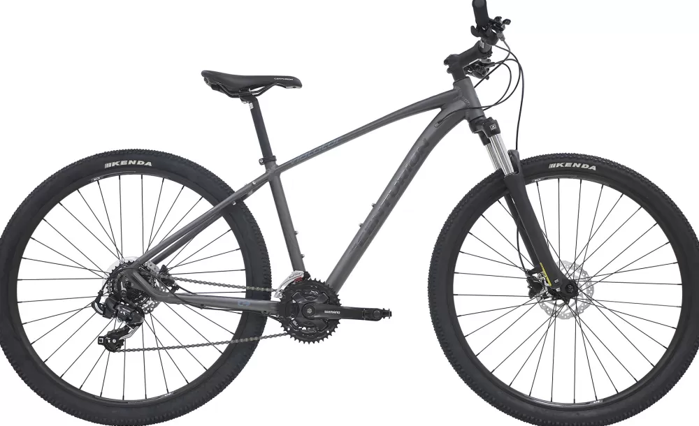 Centurion Børnecykler | Mountainbikes | Violator MTB 29" 21g 2023 - Grå Mat Grå